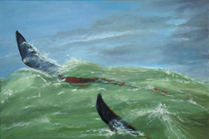 Vissen als boten, 2004