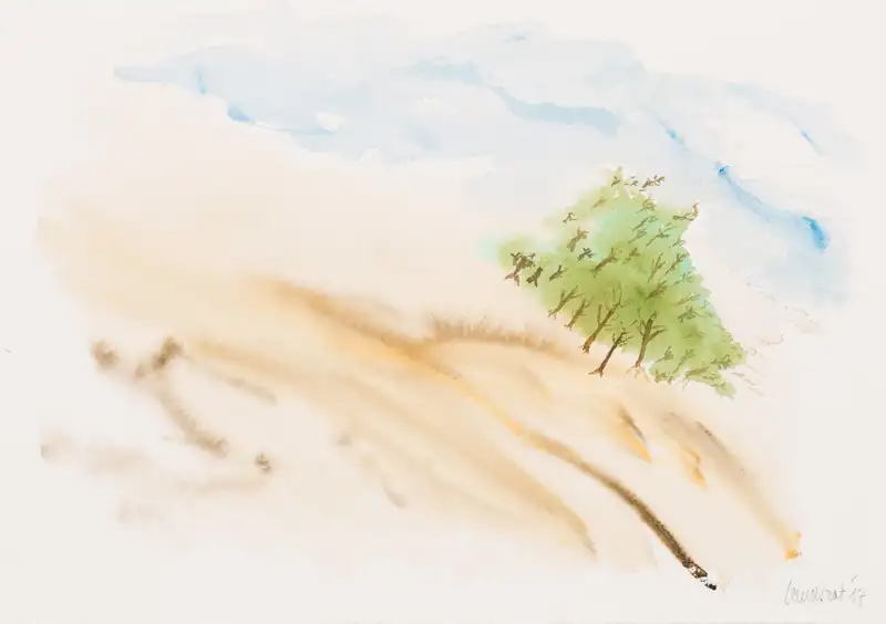 Het terugwijkend bos - Vanwege Sebald, 2017