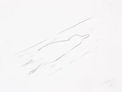 Watervogel, potlood en krijt (2005)